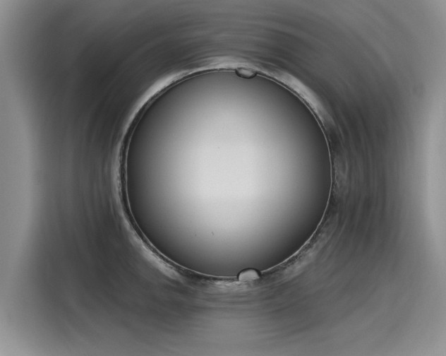 X0000116151142200911301535