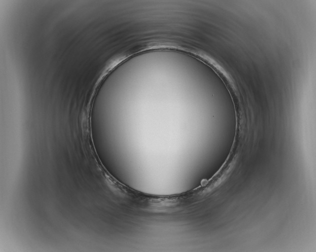 X0000116151145200911301535