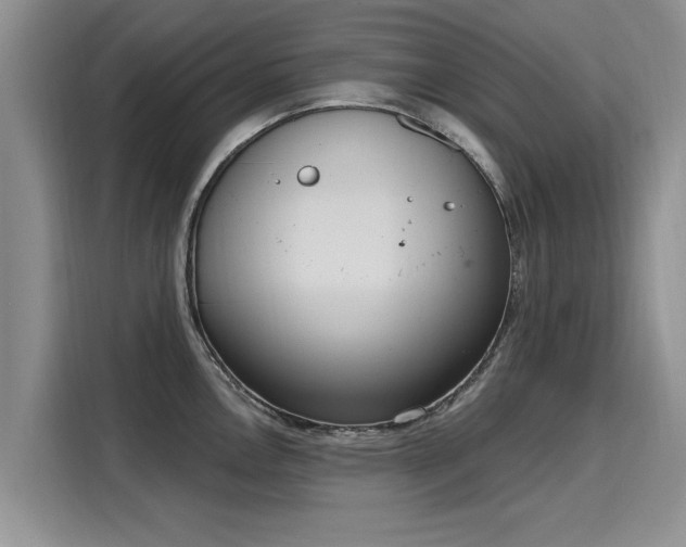 X0000116151146200911301535