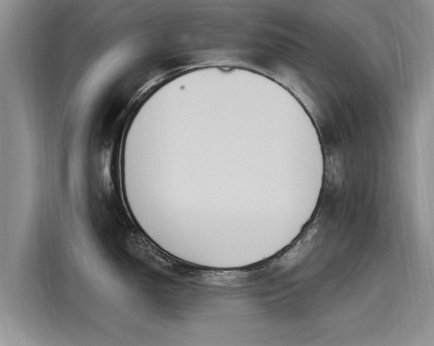 X0000116151150200911301535