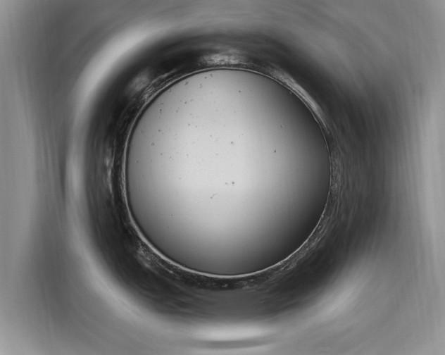 X0000116151151200911301535