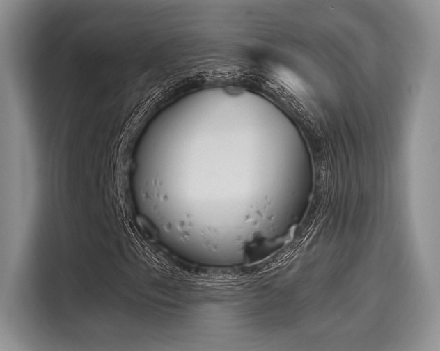 X0000116151153200911301535