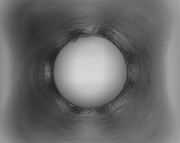 X0000116151154200911301535