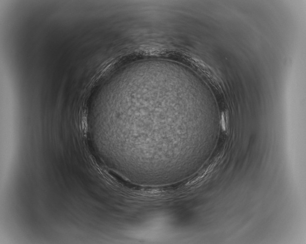 X0000116151155200911301535