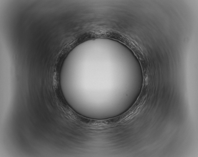 X0000116151156200911301535