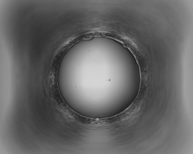 X0000116151159200911301535