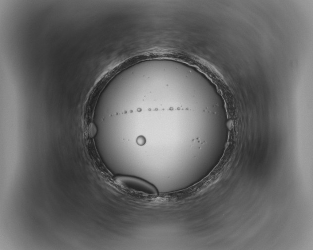 X0000116151160200911301535