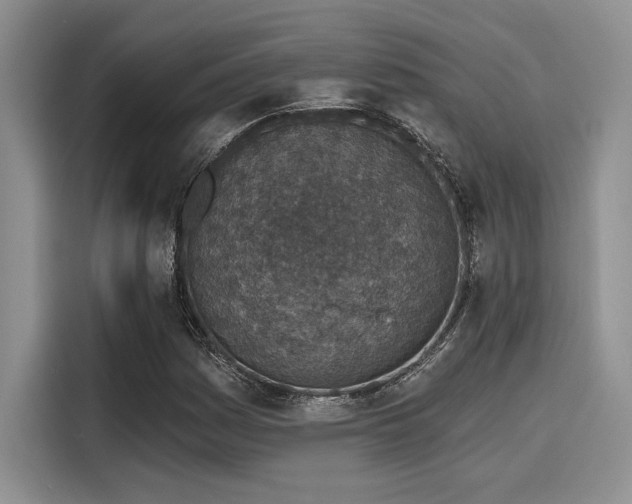 X0000116151161200911301535