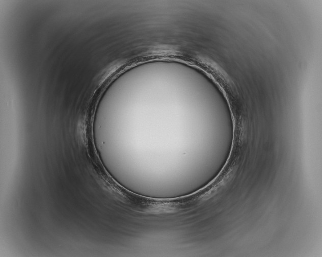 X0000116151162200911301535