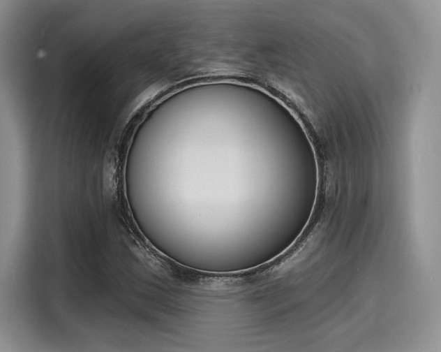 X0000116151163200911301535