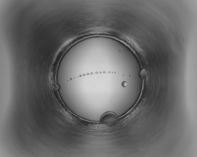 X0000116151164200911301535