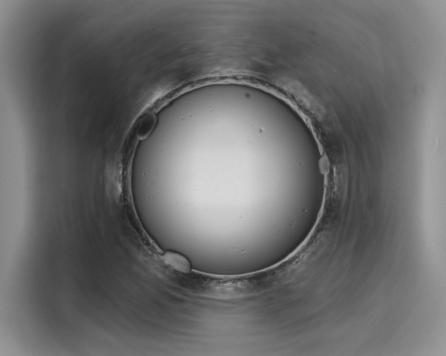 X0000116151165200911301535