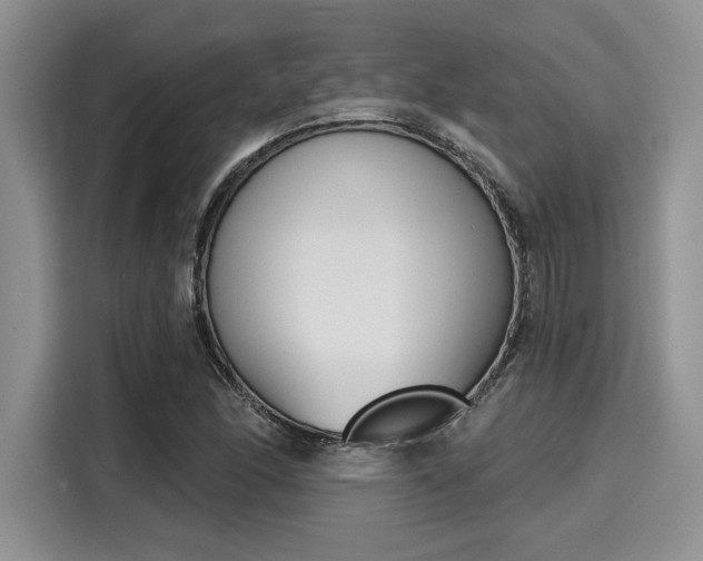 X0000116151166200911301535