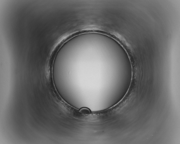 X0000116151167200911301535