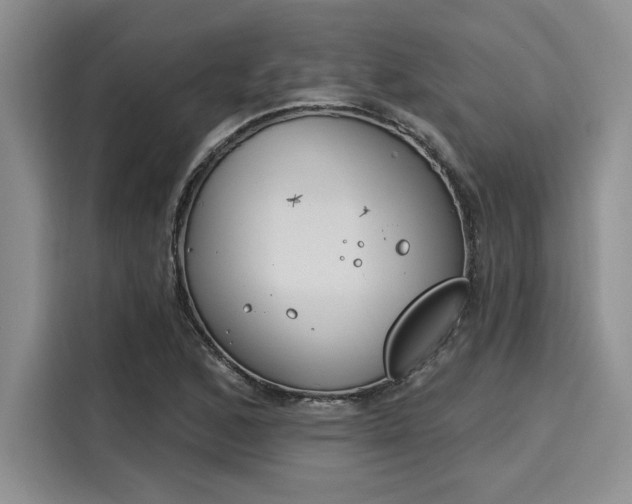 X0000116151168200911301535