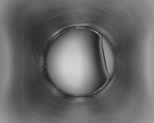 X0000116151169200911301535