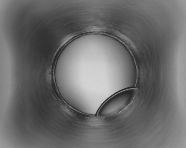 X0000116151170200911301535