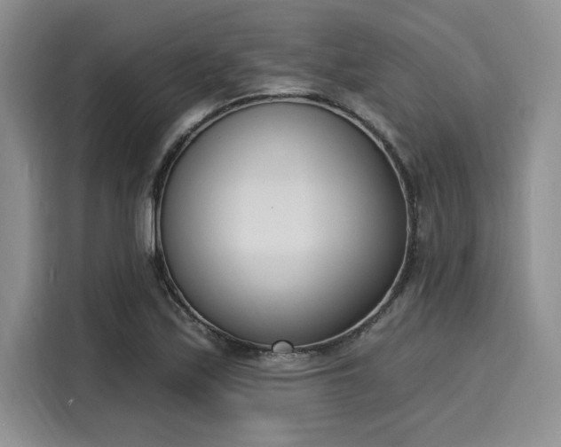 X0000116151171200911301535