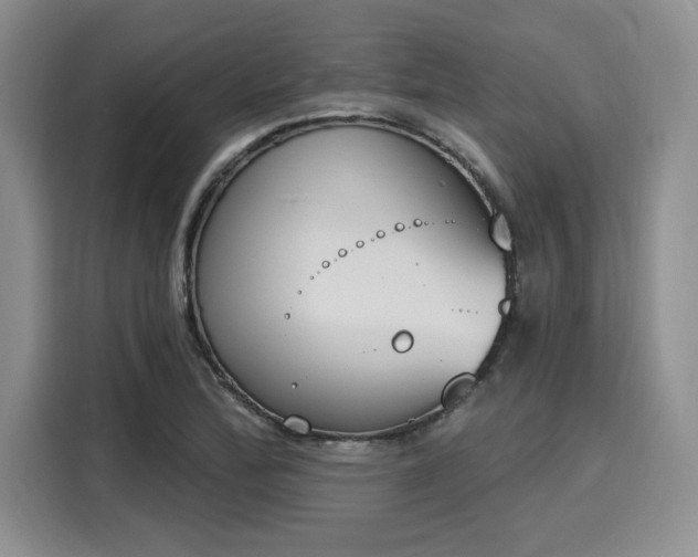 X0000116151172200911301535