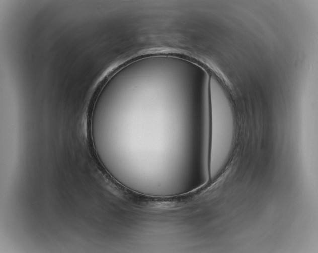 X0000116151173200911301535