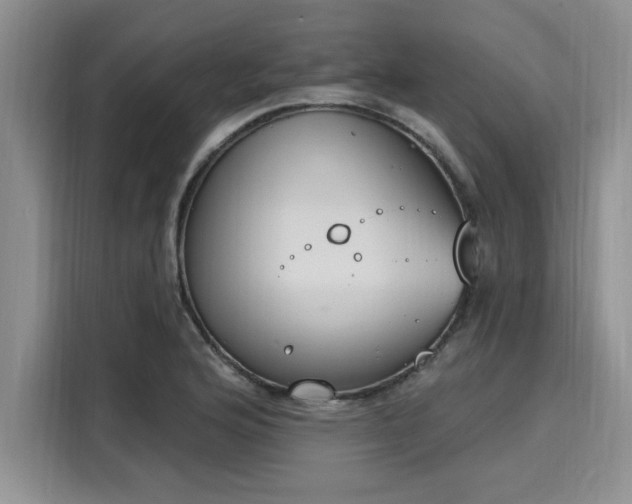 X0000116151176200911301535