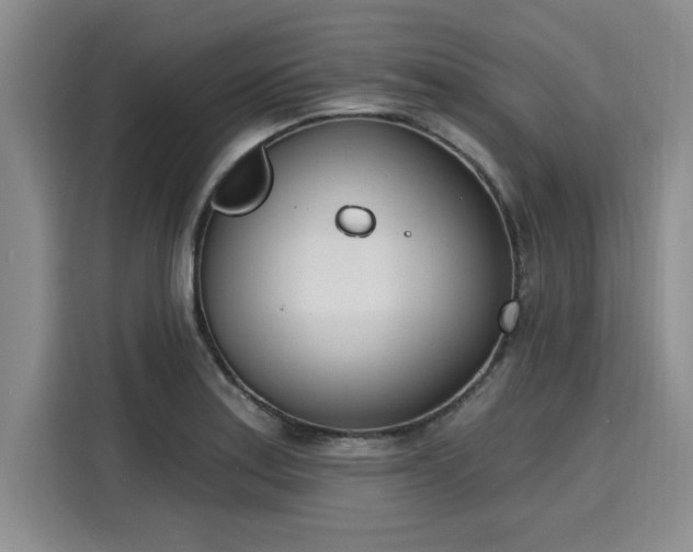 X0000116151179200911301535