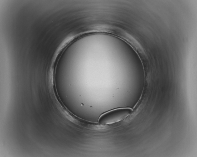 X0000116151180200911301535