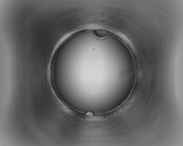 X0000116151183200911301534