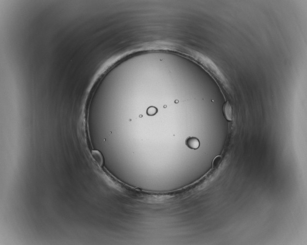 X0000116151184200911301534