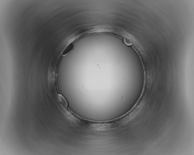 X0000116151185200911301534