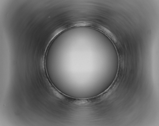 X0000116151186200911301534