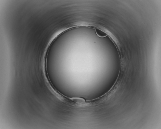 X0000116151187200911301534