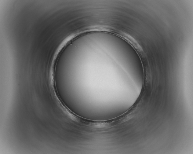 X0000116151188200911301534