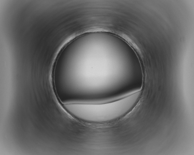 X0000116151189200911301534