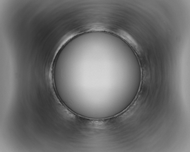 X0000116151190200911301534