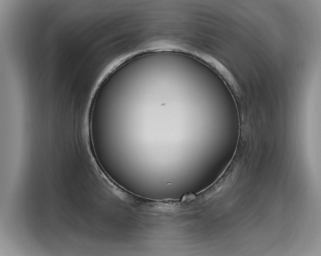 X0000116151191200911301534