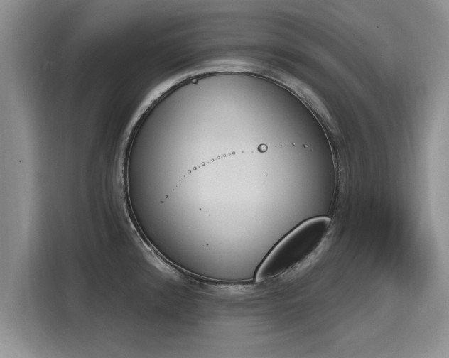 X0000116151192200911301534