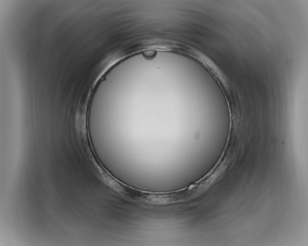 X0000116151194200911301534