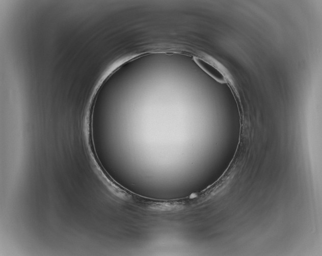 X0000116151195200911301534