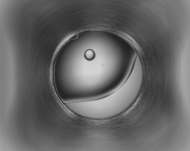 X0000116151196200911301534