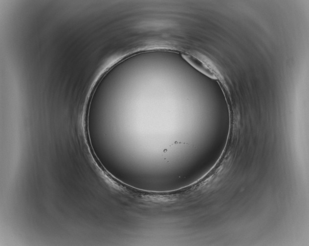 X0000116151197200911301534