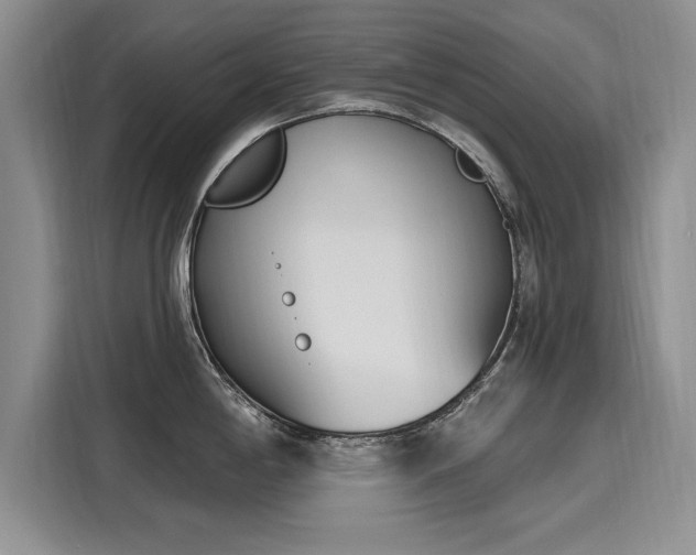 X0000116151198200911301534