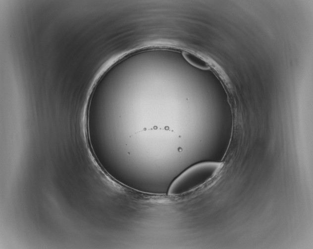 X0000116151199200911301534