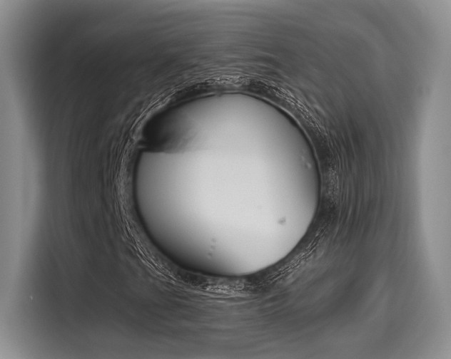 X0000116151201200911301534