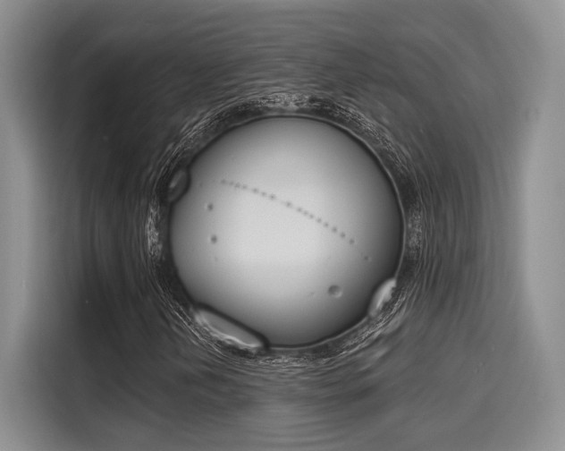 X0000116151202200911301534