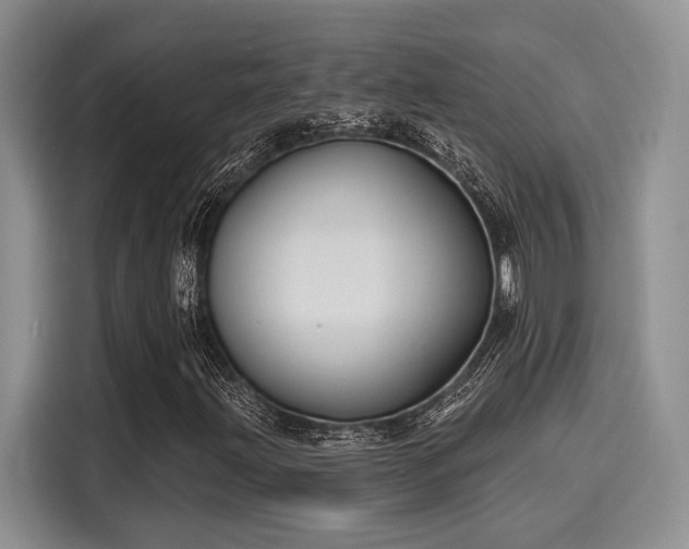 X0000116151203200911301534