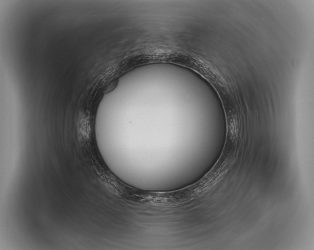 X0000116151204200911301534