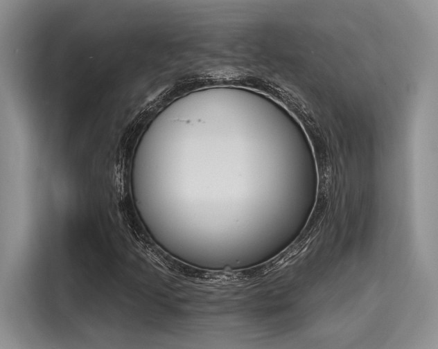 X0000116151205200911301534