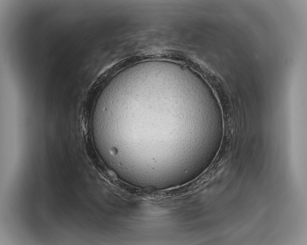 X0000116151206200911301534