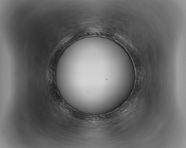 X0000116151207200911301534